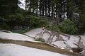 AUS30052009 (173)